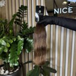 Chestnut shade hair