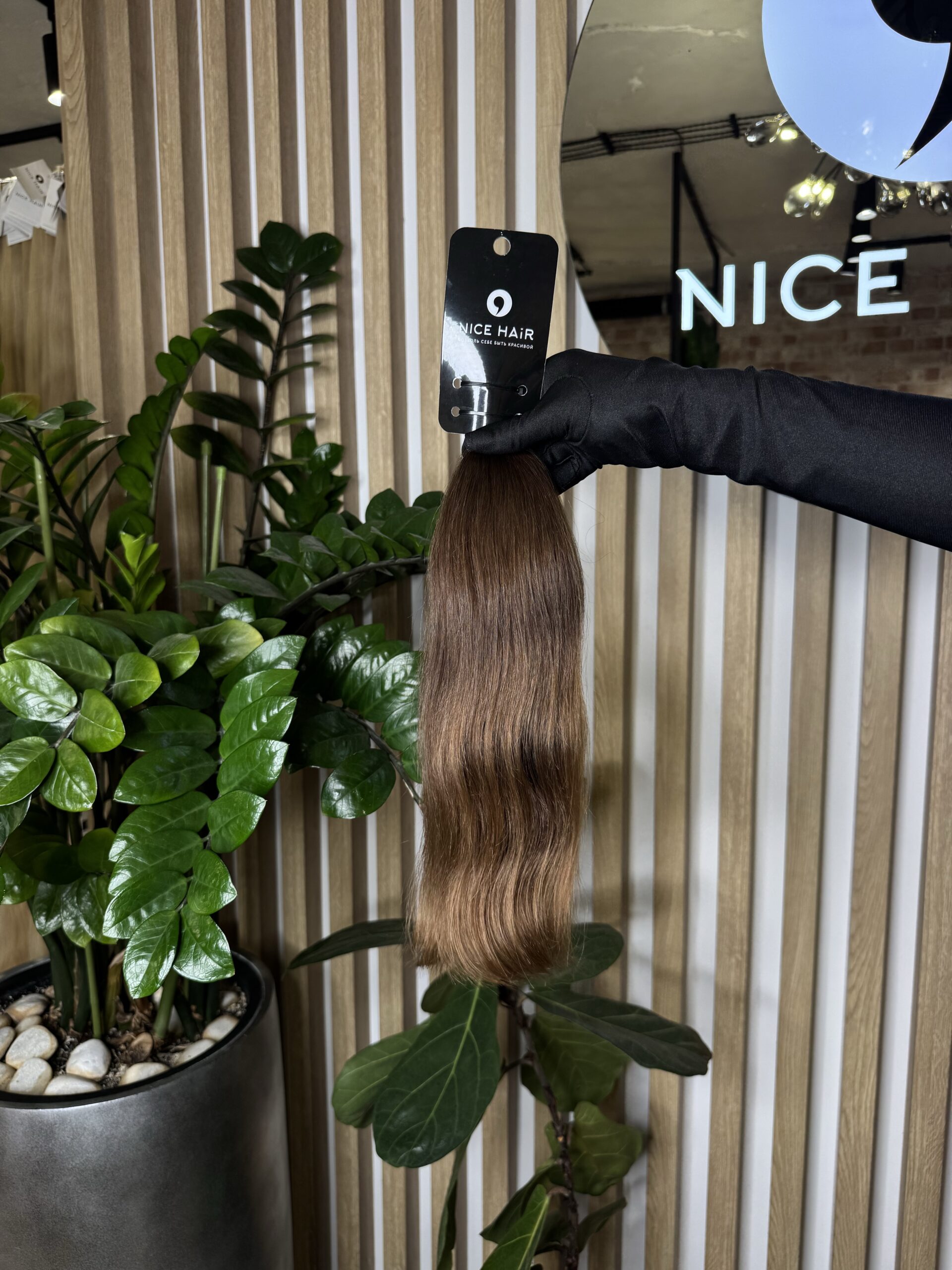 Chestnut shade hair